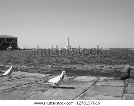 Three pigeons posing in front of lighthouse in Chania Harbor, Crete Greece