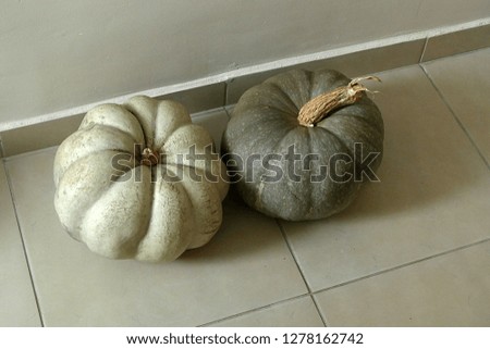 two different pumpkins, a wonderful pumpkin to make a pumpkin dessert,