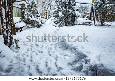 Elements of snowy winter garden.