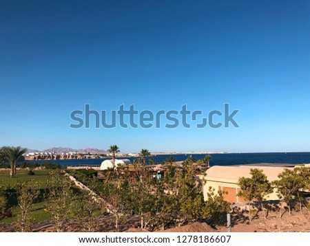incredibly beautiful roads and coastline with palm trees near the red sea in the tourist resort of the sunny town of Sharm El Sheikh in Egypt