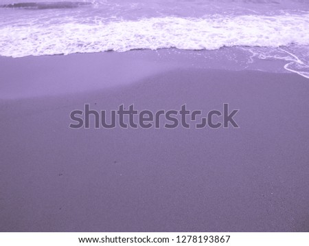 Purple beach of the sea