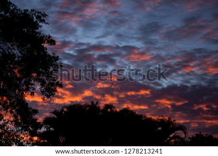 Australian Sunset. Taken in Brisbane, Queensland late afternoon. 
