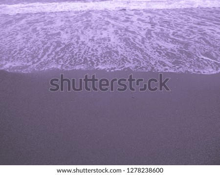 Purple beach of the sea