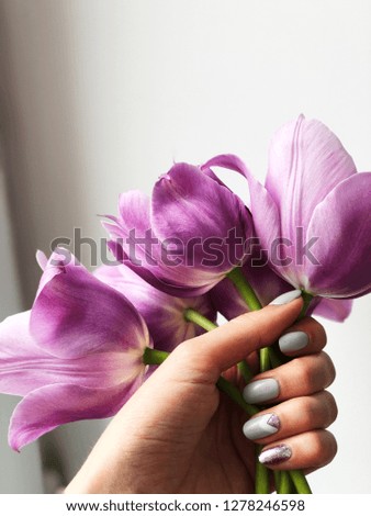 girl hand holds purple tulips with grey manicure