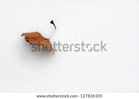 winter conceptual picture