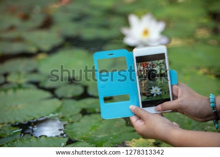 Travelor tourist hand holding mobile phone while taking a photograph of white lotus flower in pond, traveling take photo by mobile phone concept.