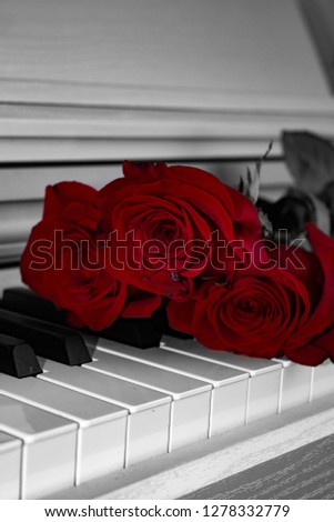red roses on the piano, white background