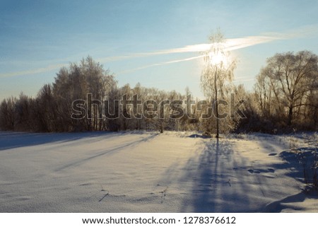 Winter landscape of Russian Chernozem Region