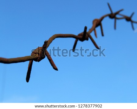 Rusty barbed wire isolated on blue sky background. Concept of boundary, prison, war or immigration