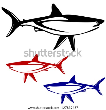 Shark,  black and white outline.  illustration.