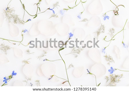 Festive wild spring summer flowers composition on the white background. Overhead top view, flat lay. Copy space. Birthday, Mother's, Valentines, Women's, Wedding Day concept.