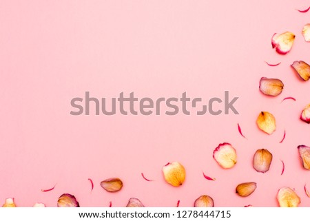 Rose petals on pink background. Flat lay. Top view. Copy space