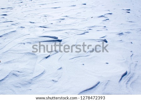 Winter landscape with snow waves on surface