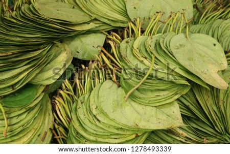 Betel leaf contain vitamins such as niacin, riboflavin, vitamin C