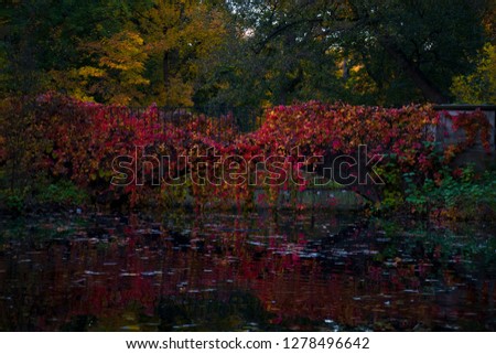 autumn colors on a bridge 