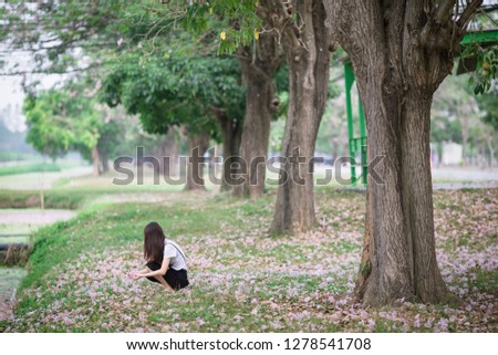 The background of the girl who is bowing to the flowers (Pink Pantip) that fell on the floor to take pictures or study the nature of the plants.