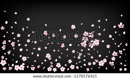 Nice Sakura Blossom Isolated Vector. Summer Blowing 3d Petals Wedding Pattern. Japanese Funky Flowers Illustration. Valentine, Mother's Day Summer Nice Sakura Blossom Isolated on Black