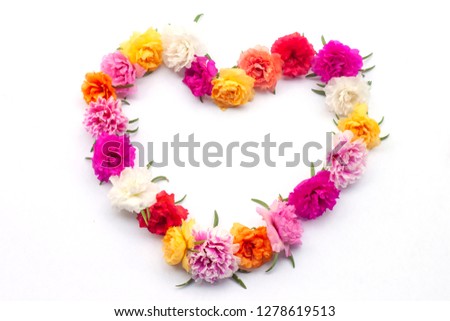 Concept arrange Portulaca flower to the heart shaped isolated on white background.