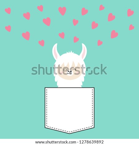 Alpaca llama face sitting in the pocket. T-shirt design. Cute cartoon funny character. Kawaii animal. Pink hearts. Love Valentines Day greeting card. Flat design style. Blue background.