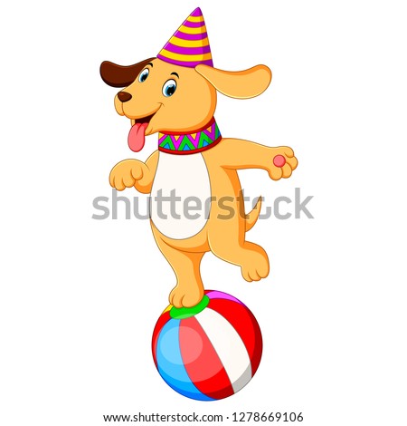 the circus dog playing and standing on the ball
