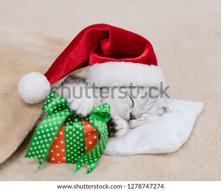 Tabby kitten in red santa hat sleep on pillow under blanket with gift box 