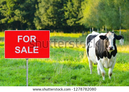 Farm with FOR SALE sign with cow in background