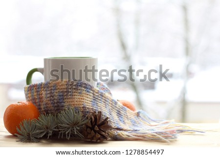 cup wearing scarf with tangerine and spruce twigs on the background of the window in the winter / warming homely comfort