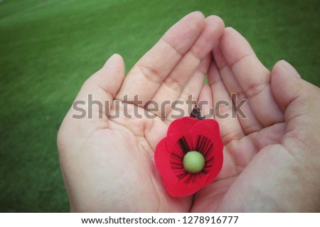Hands holding a red poppy hand made from cloth, bunch of memorial day, with green grass background. Vintage style picture. Object concept.