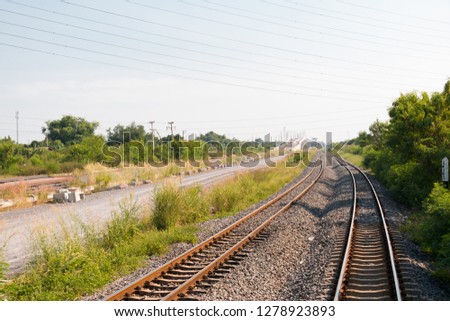Railway in the midst of trees