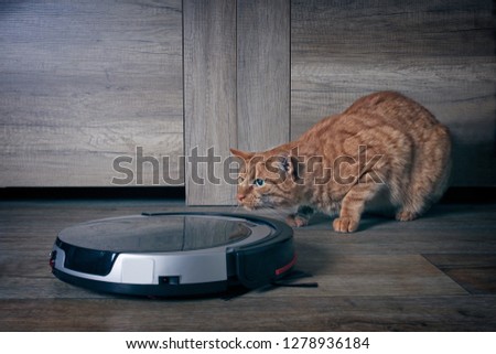 Funny ginger cat lurking behind a robot vacuum cleaner.