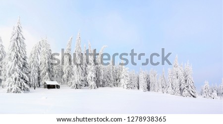 cottage between fir trees on the mountain in winter