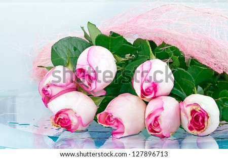 picture of pink roses