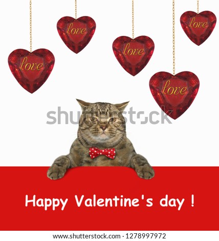 The cat is sitting near ruby hearts hanging on gold plated chains. Happy Valentine's Day. 