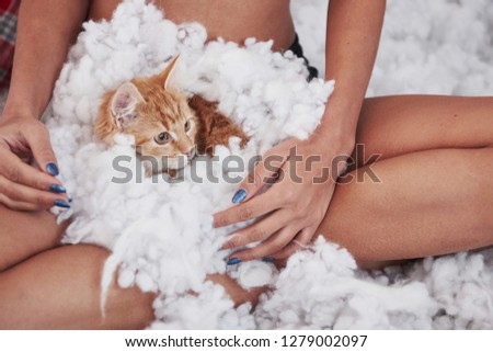 Cute cat sitting on the white bed on the woman's legs. Particle photo.