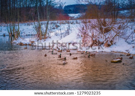 Winter Christmas landscape in orange and blue colors with a calm winter river, surrounded by Trees.Winter Forest on the river at sunset. Landscape with snow trees, a beautiful frozen river with reflec