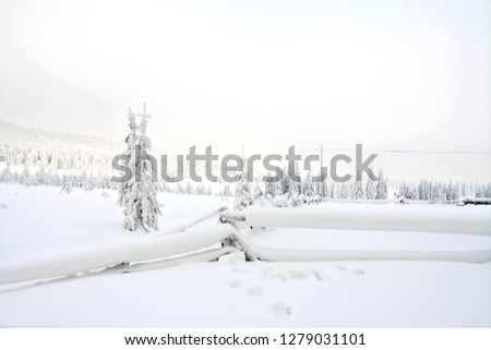 a wooden fence on a field between the trees in the winter