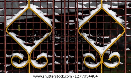 detail metallic gate covered by snow
