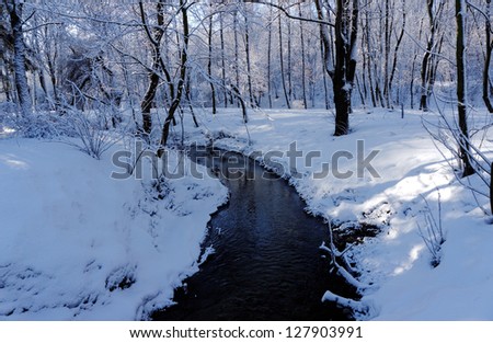 Small stream in a winter park. A beautiful sunny winter day