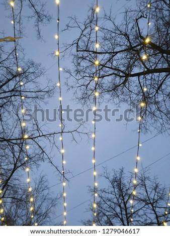 lights against the winter sky