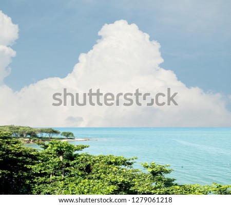 seascape sea sky trees