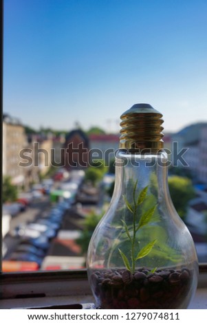 A great green energy idea growing in a light bulb over a bright city of the future