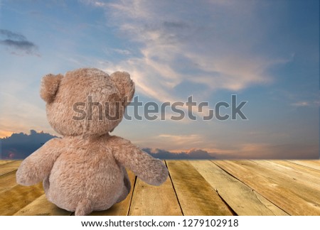 Bear lovers, family love Isolated from the background clipping p