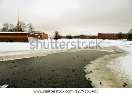 Open water with ducks on the Neva River and view of the Peter and Paul Fortress in winter.