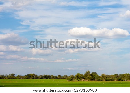 Beautiful Blue sky and cloud with meadow, tree.landscape background for summer.The best view for holiday.