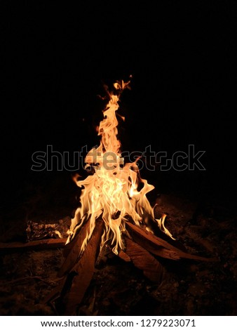 burn wood fire