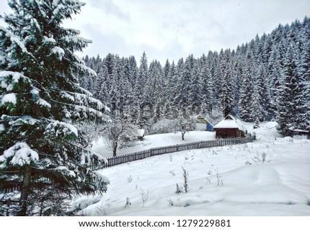 Houses in the snowy forest. Photo of winter forest in the mountains. Village in the Carpathian Mountains in Ukraine. Wallpaper 