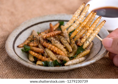 Food Insects: Woman's hand holding Bamboo worm Caterpillar insect fried crispy for eating as food items in plate and sauce on sackcloth, it is good source of protein edible for future food concept. Royalty-Free Stock Photo #1279230739