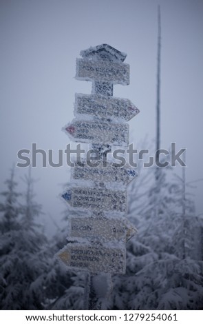 tourist signposting in the forest