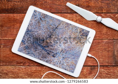 leafless cottonwood trees in winter, reviewing an aerial image on a digital tbalet