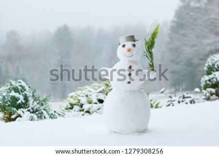 Lovely snowman in the winter garden